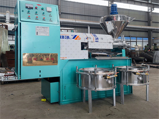 professional palm oil processing machine, palm oil