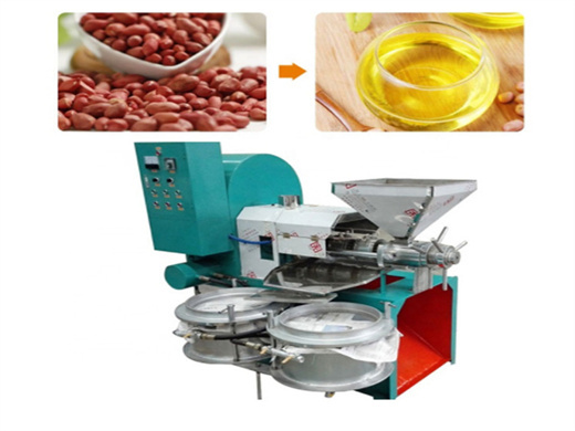 automatic oil press machine/oil production machinery