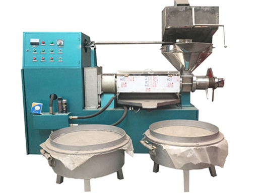 high efficiency small scale palm fruit oil machine mill in pakistans | palm oil production line