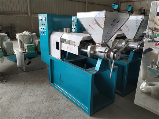 rapeseed oil press / oil expeller machine manufacturers