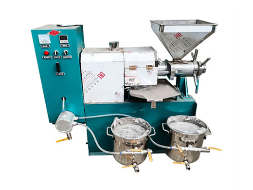 china small hydraulic oil press machine cold press coconut