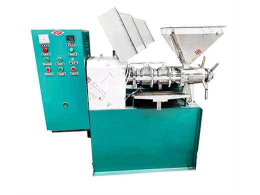 small business oil expeller machine