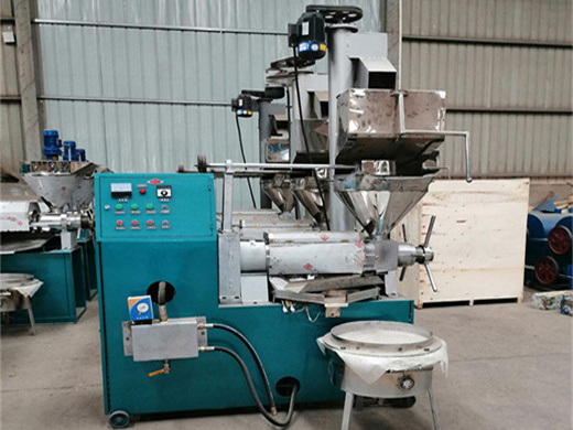 large cold press oil press machine ce approved