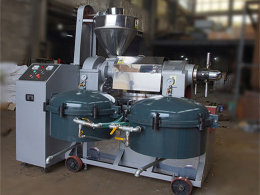durable hot sale automatic hydraulic walnut oil press