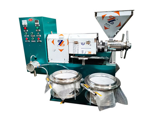 new design palm oil milling machine | palm oil processing