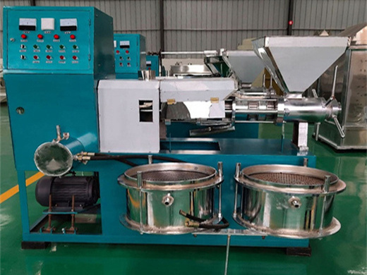 best groundnut oil mill machinery for small