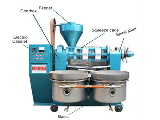 argan and almond seed palm kernel oil press machine for