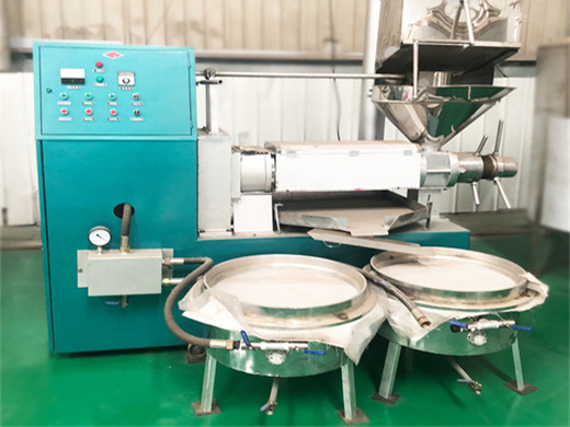 oil extraction machine - cooking oil extraction machine