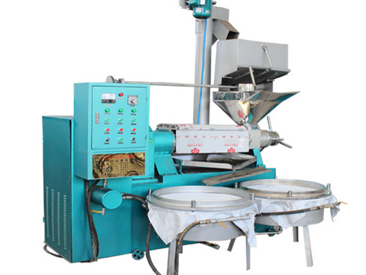 automatic oil press,vegetable oil processing,small oil