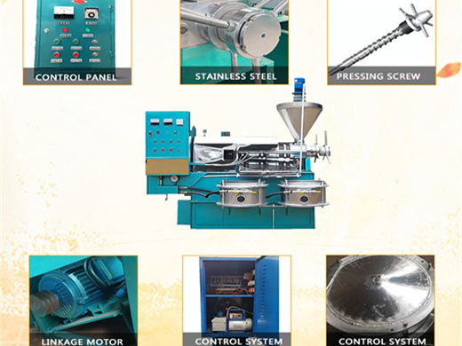 5 best oil press machine | best product
