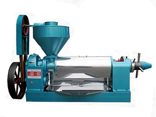 china agricultural machinery oil press machine/oil presser
