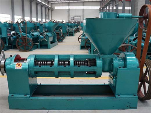 full automatic screw rapeseed oil press machine | factory price automatic oil making machine