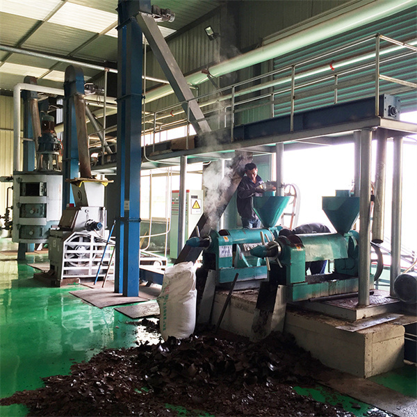 cold and hot press oil extraction machine