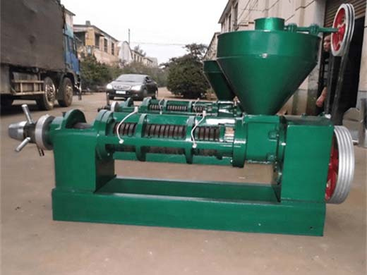 factory price cold press oil machine for various vegetable