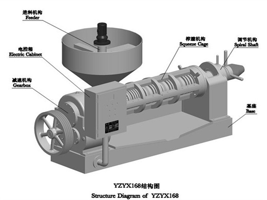 castor oil press machine - oil press machine - 
