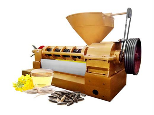 full automatic 6yz-260 for coconut oil cold press machine