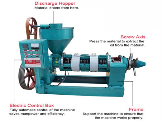 hydraulic sunflower oil press machine for sale