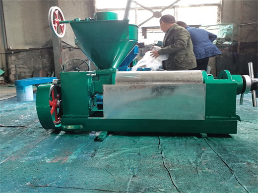 screw oil press machine for safflower seed, safflower oil mill