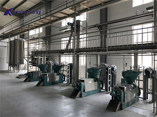 palm fruit oil press machine extraction oil from palm fruit in pakistans | palm oil production line