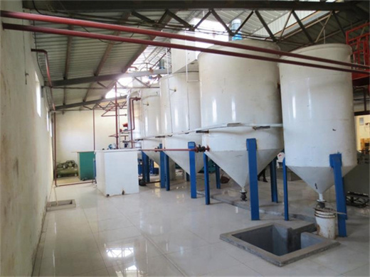 automatic cold press groundnut oil press machine in south