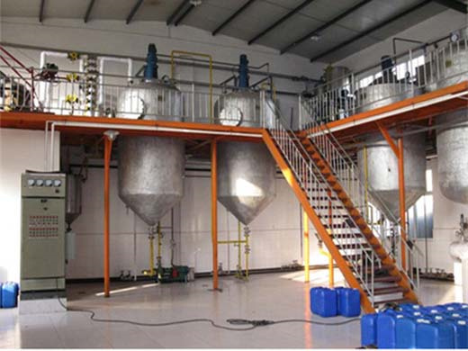 edible oil processing and manufacturing - olam